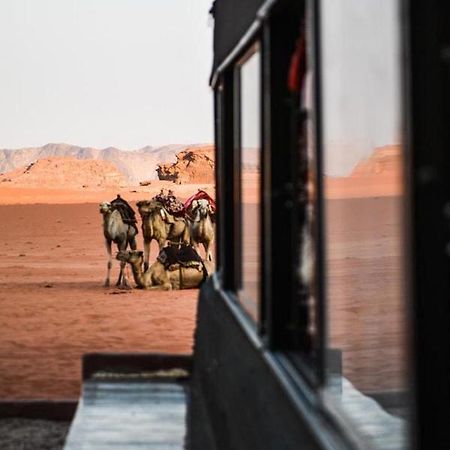 Desert Shine Camp Wadi Rum Eksteriør bilde