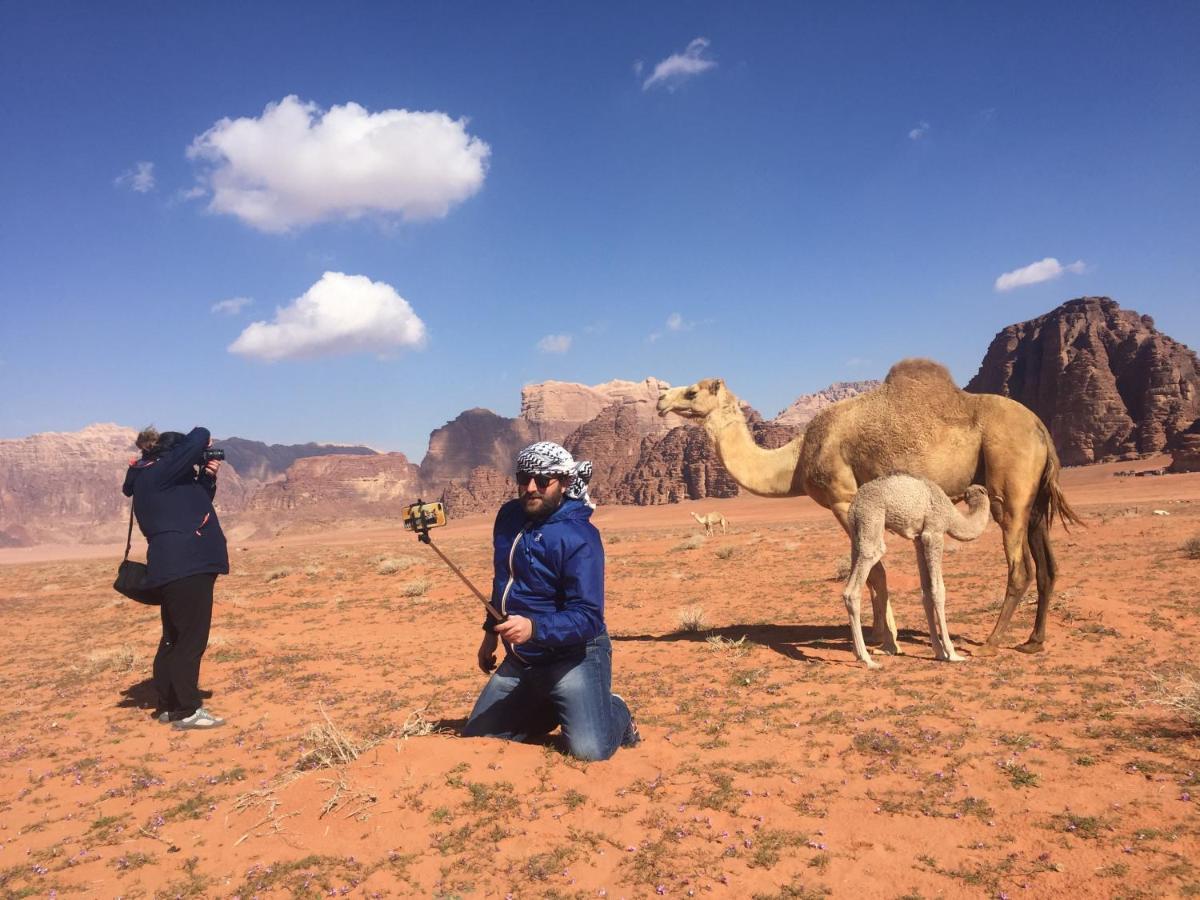 Desert Shine Camp Wadi Rum Eksteriør bilde