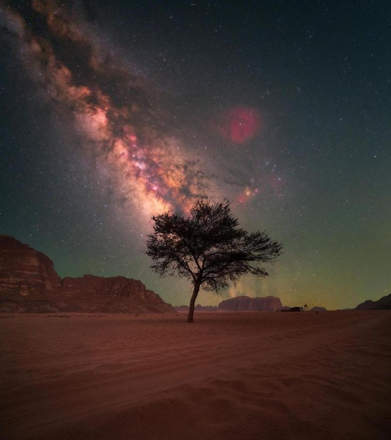 Desert Shine Camp Wadi Rum Eksteriør bilde