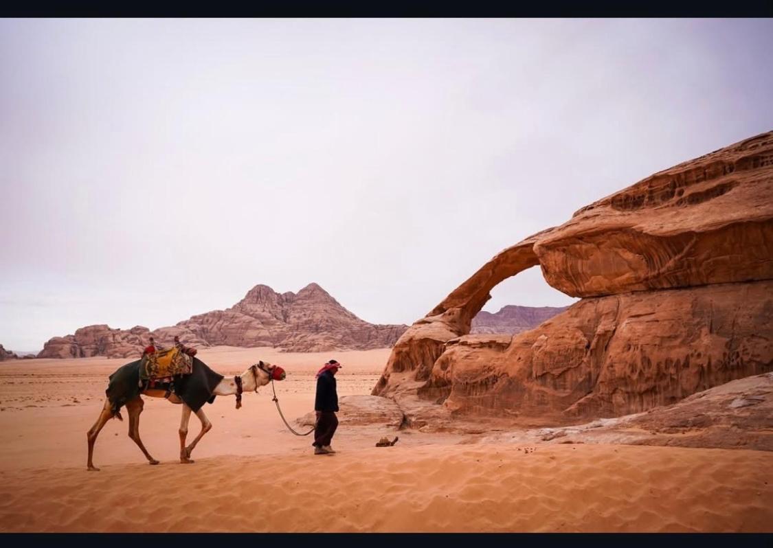 Desert Shine Camp Wadi Rum Eksteriør bilde