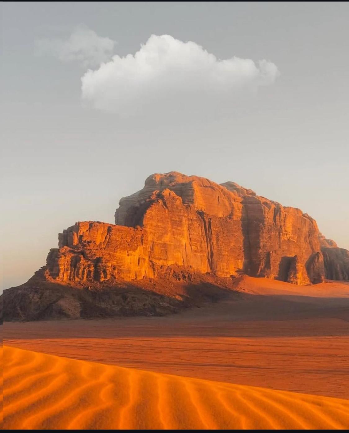 Desert Shine Camp Wadi Rum Eksteriør bilde